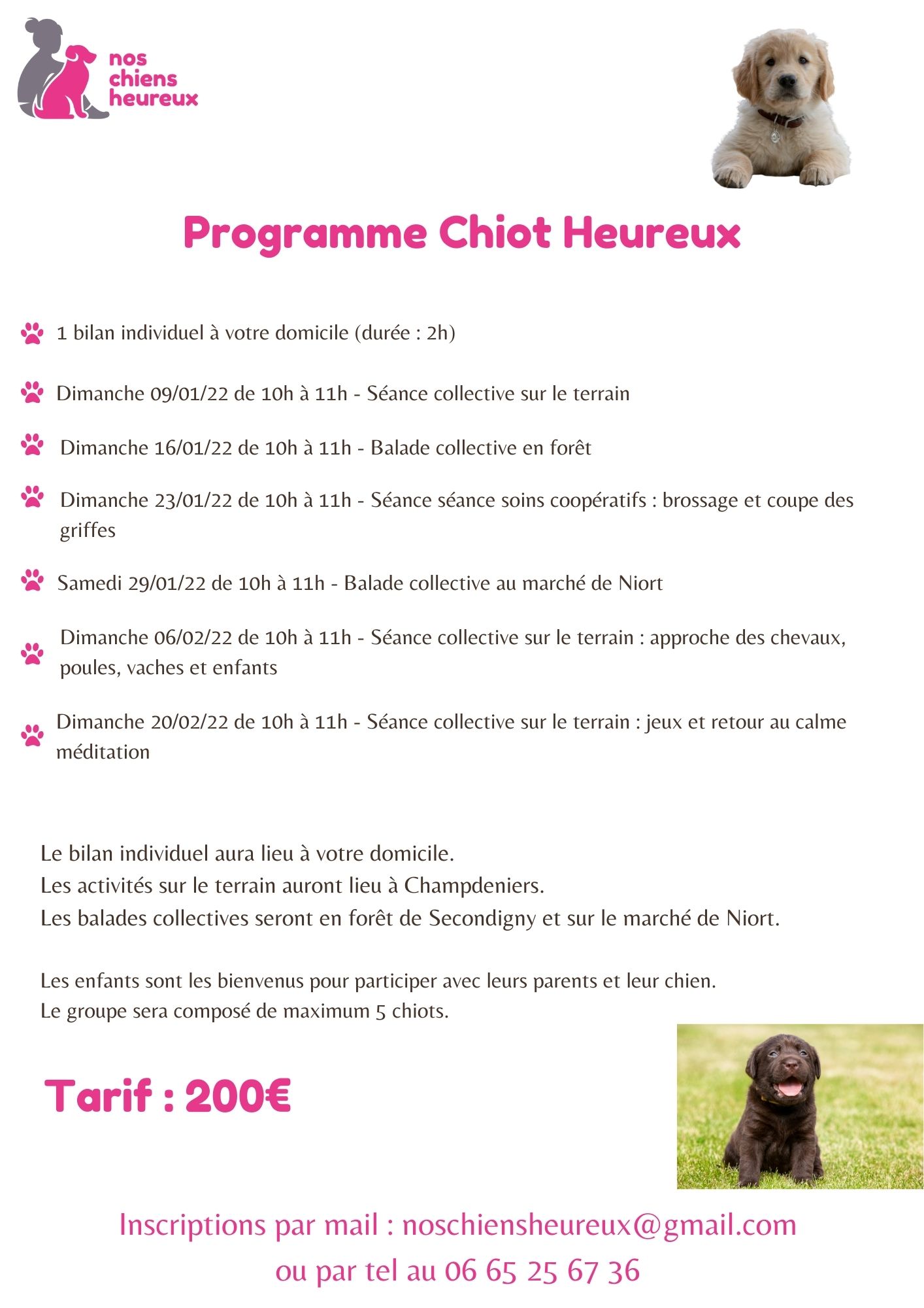 Programme chiots janvier 2022
